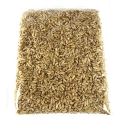 Willy Worms Dead Maggots 1 Pint