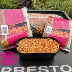 Willy Worms Disco Maggots Live Bait