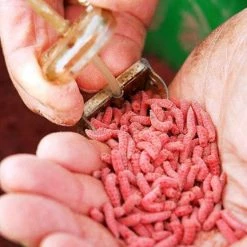 Drennan Bolt Rig Feeder