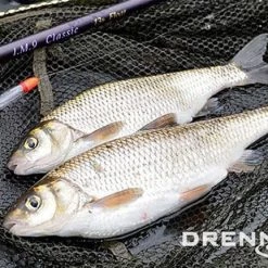 Match & Coarse Drennan Loafer Running Water Float