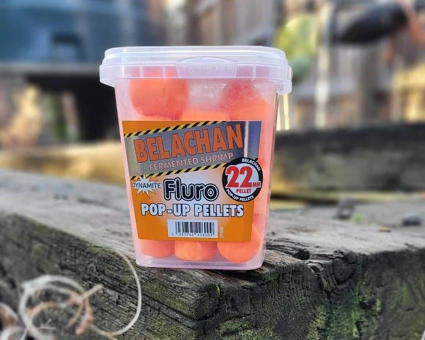 Fishing Bait Dynamite Baits - Catfish Fluro Pop Ups - 22mm Pot