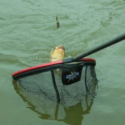 Dynamite Baits Match & Coarse Dynamite Floating Landing Net