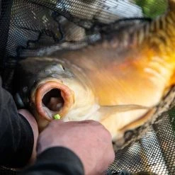 Fjuka Bait Fjuka Carpo Fishing Bait