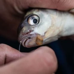 Fjuka Bait Fishing Bait Fjuka Hookable Pop Ups