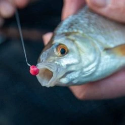 Fjuka Bait Fjuka Neeonz Hook Bait