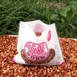 Willy Worms Fresh Casters 1 Pint