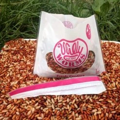 Willy Worms Fresh Casters 1 Pint