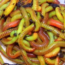 Willy Worms Green Worm Fluorescent Nutrient 30g