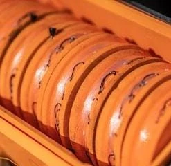 Guru Fusion Feeder Box