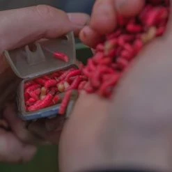 Match & Coarse Guru Multi Maggot Feeders