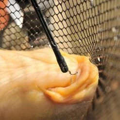 Guru QM1 Disgorger Match & Coarse