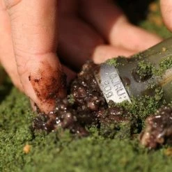 Match & Coarse Guru X-Change Distance Feeder Solid Body