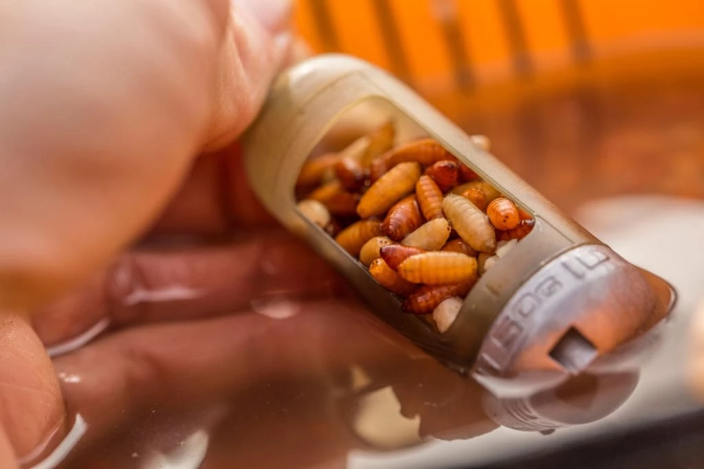 Match & Coarse Guru X-Change Window Feeders