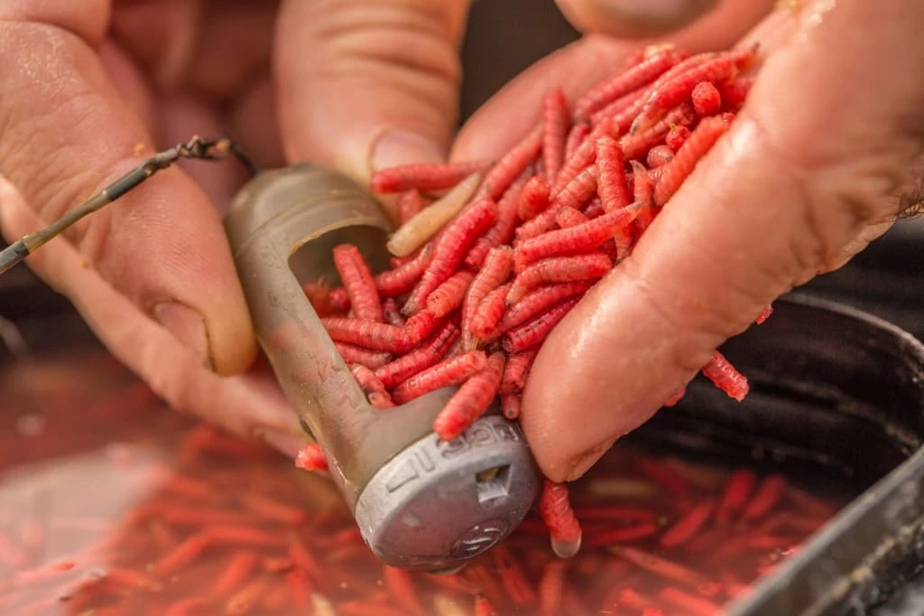 Match & Coarse Guru X-Change Window Feeders