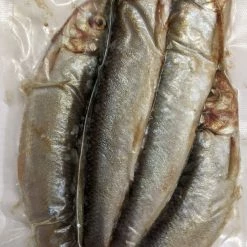 Willy Worms Fishing Bait Herring Large (3 - 4 Per Pack)