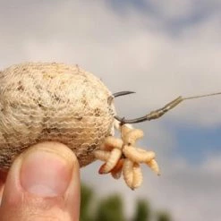 Korda Funnel Web System (7m) Carp & Barbel