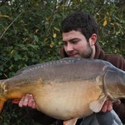 Korda Ready Tied Chod Rigs