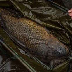 Korum Basix Weigh Sling