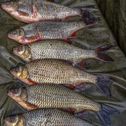 Korum Supa Lite Fast Mat - XL Carp & Barbel