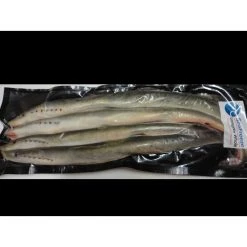 Willy Worms Lamprey Whole 12-16" Fishing Bait