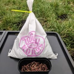 Willy Worms Live Bait Large Dendrobaenas