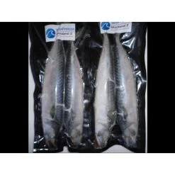 Willy Worms Mackerel (2 Per Pack) Fishing Bait