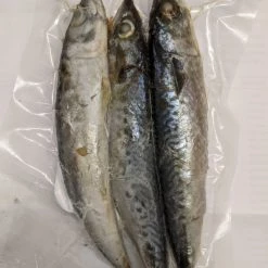 Willy Worms Mackerel Mini (3 Per Pack) Fishing Bait