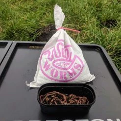 Willy Worms Medium Dendrobaenas