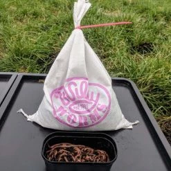 Willy Worms Medium Dendrobaenas