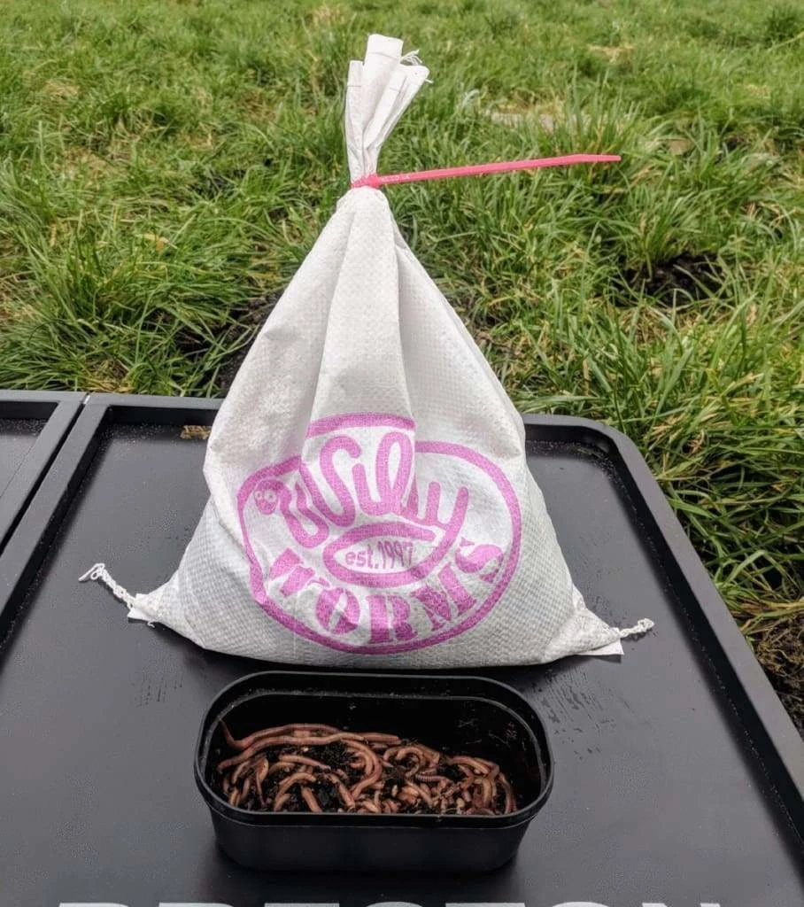 Willy Worms Medium Dendrobaenas