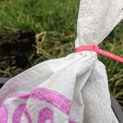 Willy Worms Medium Dendrobaenas