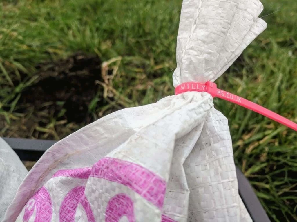 Willy Worms Medium Dendrobaenas