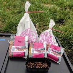 Willy Worms Medium Dendrobaenas