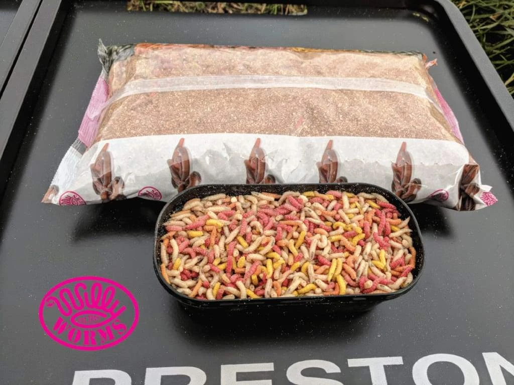 Willy Worms Mixed Maggots Live Bait