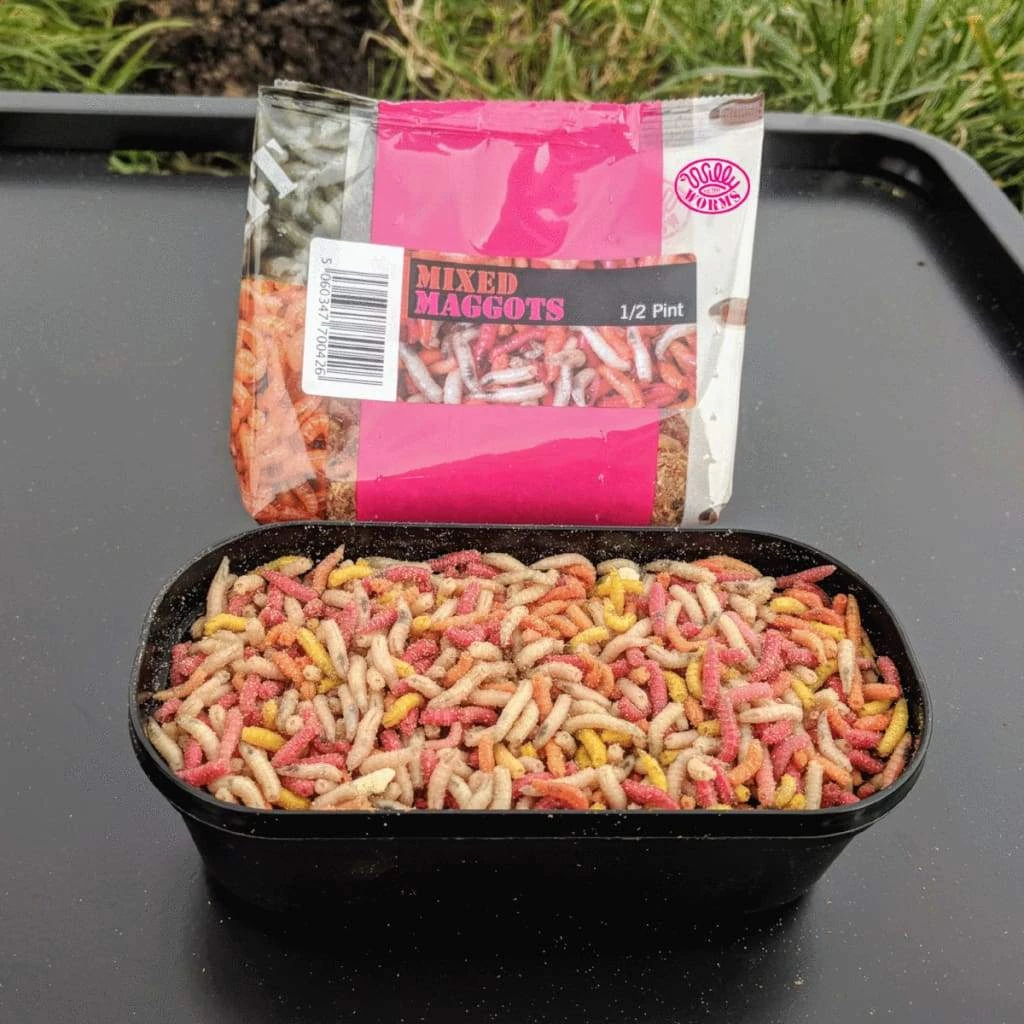 Willy Worms Mixed Maggots Live Bait