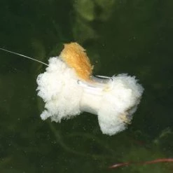 Carp & Barbel Nash Bread Bomb (3 Per Pack)