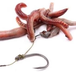 Carp & Barbel Nash Maggot Clips
