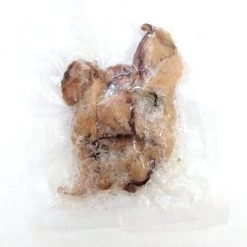 Willy Worms Fishing Bait Preserved Squid