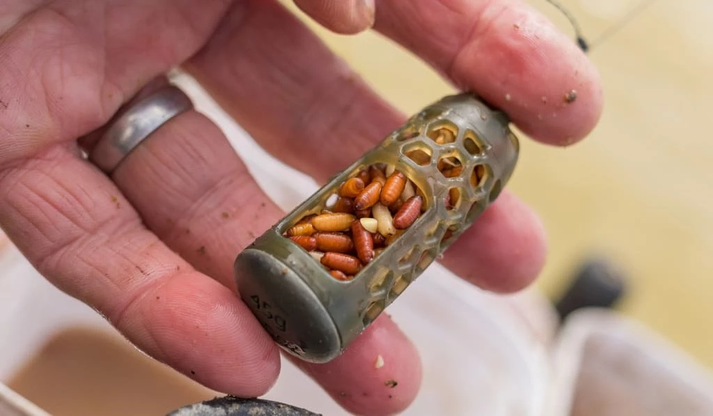 Match & Coarse Preston - Absolute Window Feeder - Caged