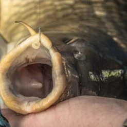 Match & Coarse Preston KKM-B Eyed Barbless Hooks