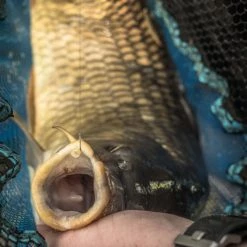 Match & Coarse Preston Match Landing Nets