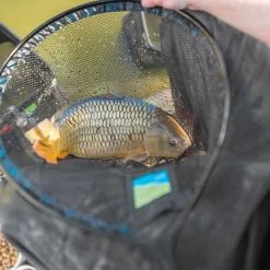 Match & Coarse Preston Quick Dry Landing Nets (NEW)