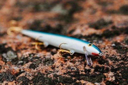 Fishing Bait Rapala - Floater Lure