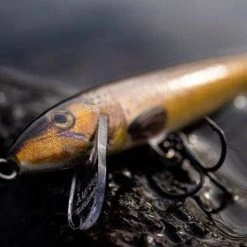 Fishing Bait Rapala - Floater Lure