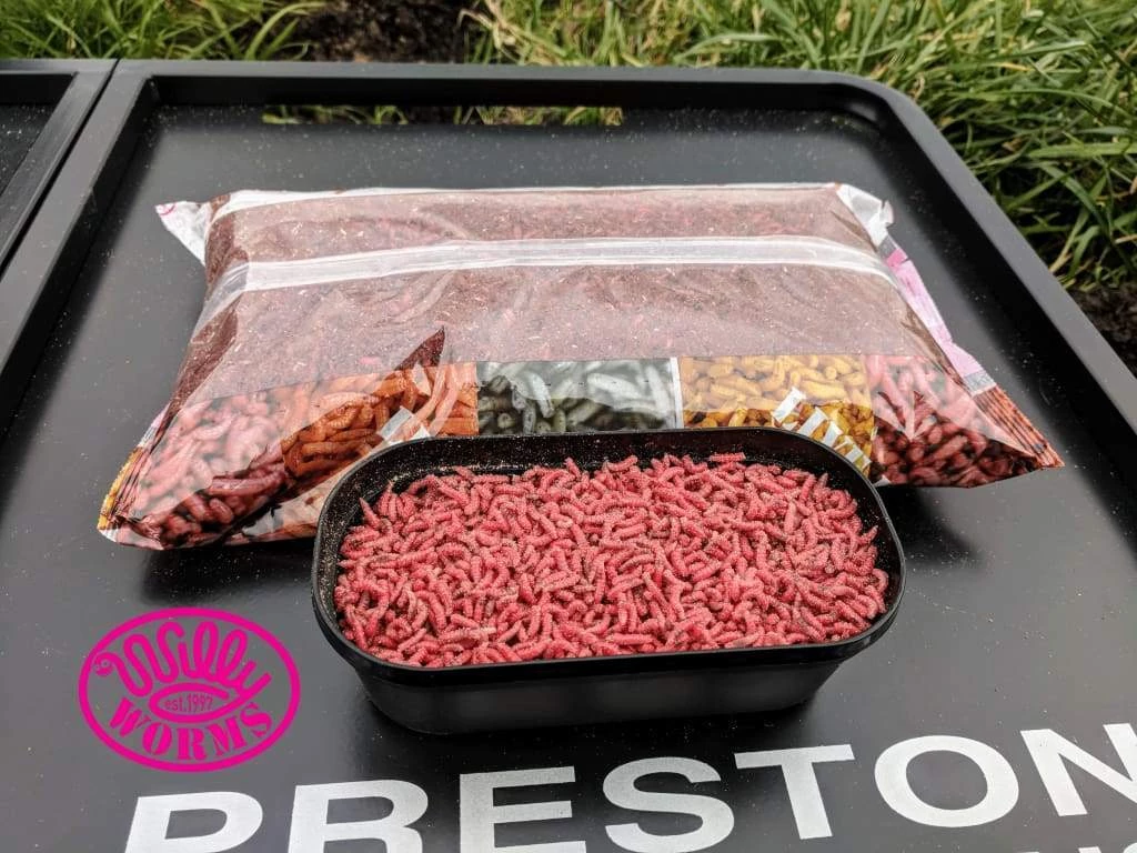 Willy Worms Red Pinkies Live Bait