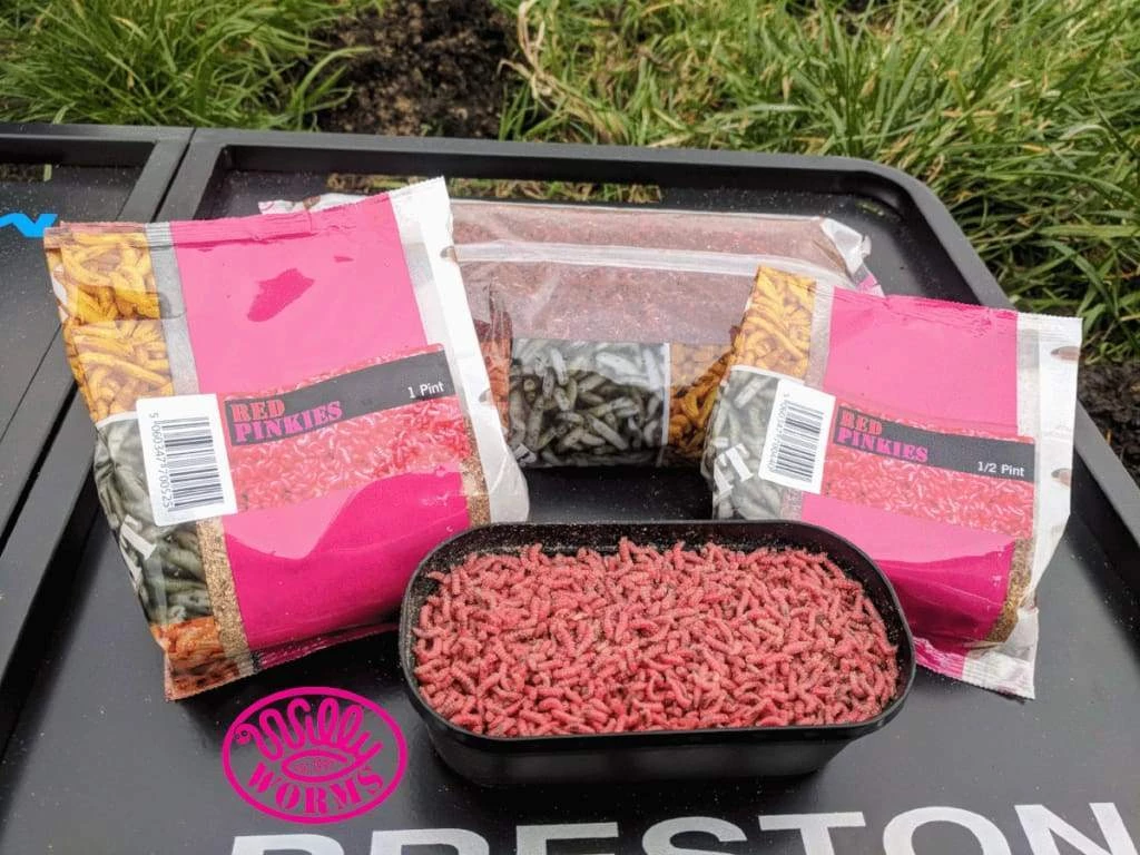 Willy Worms Red Pinkies Live Bait