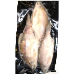 Willy Worms Skimmer Bream 3 Pack Fishing Bait