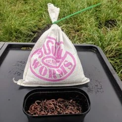 Willy Worms Small Dendrobaenas