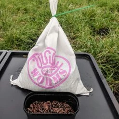 Willy Worms Small Dendrobaenas