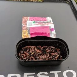 Willy Worms Small Dendrobaenas